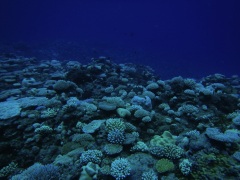 Click for image